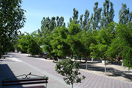 База відпочинку «Стожари», Азовське море